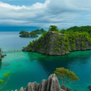 adanin 15 milyon yillik sirri cozuldu lHaC9XSR