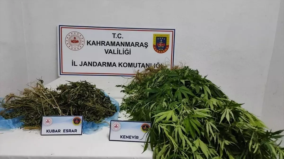 kahramanmarasta uyusturucu operasyonu LZ2EQV7f