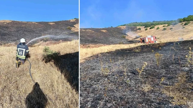 erzurumda aniz yangini 100 donum alan kul oldu pGRJk2a1