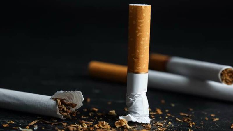 turkiyede her 2 erkekten ve her 4 kadindan biri sigara iciyor nLKZjC3B