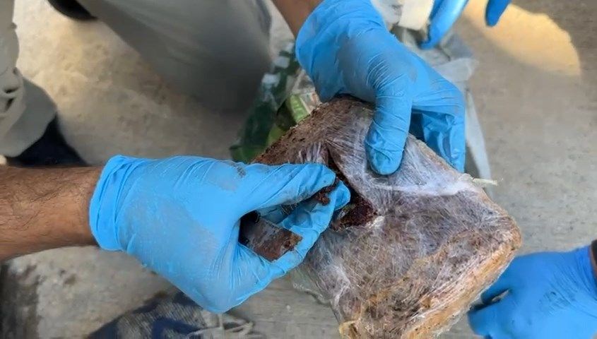 ustunu pul biberle kaplamis yolcu otobusunde 7 kilo eroin ele gecirildi mT4vODpa