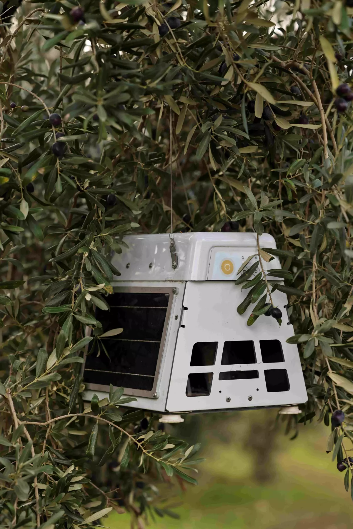 cargillden 1000 ciftci 1000 bereket programina kadin modulu SNwly8DY.jpg