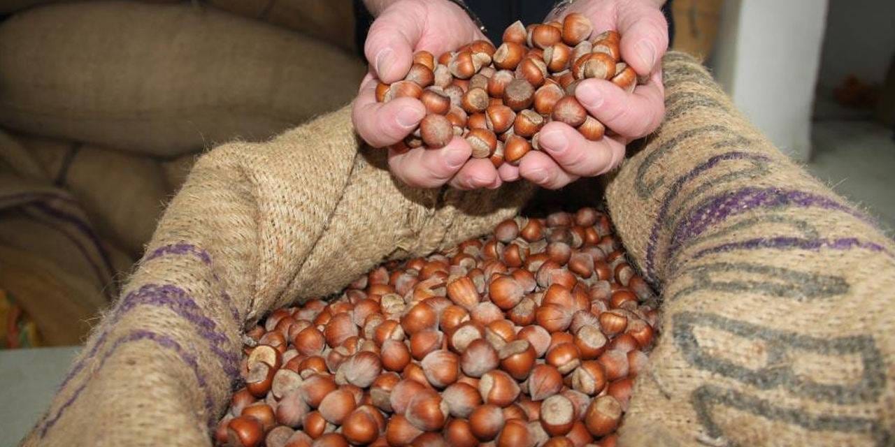 findiktan 1 milyar 610 milyon 163 bin gelir gdiOnbEj.jpg