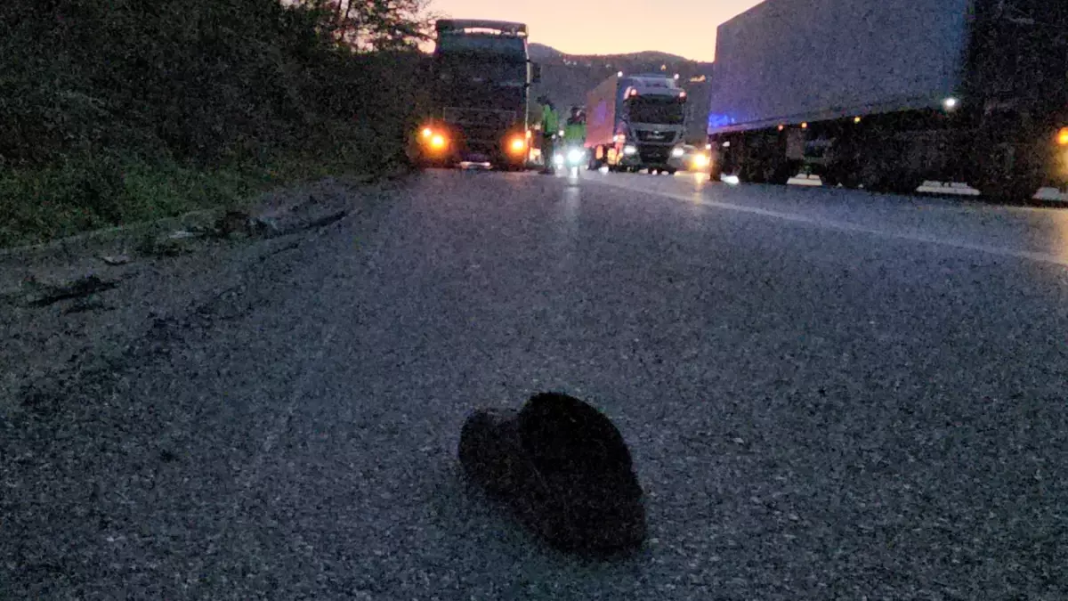 sapancada tir kazasi genc surucu hayatini kaybetti jgwZ3pDS.jpg