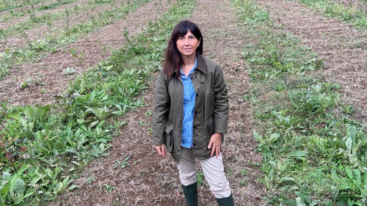 kariyerini birakti topraga dondu seda cem kadin ciftcilere ilham oluyor ZAaTjktT.jpeg