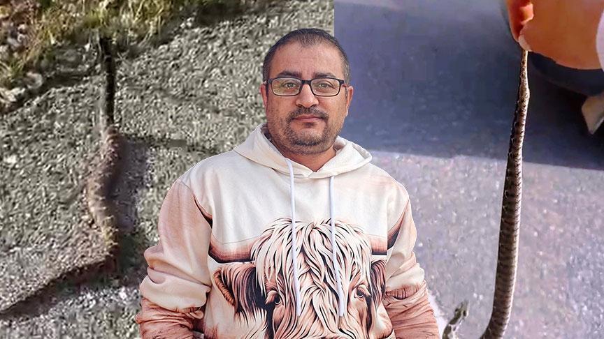 yer kutahya zehirli engerekle olum dansi ben bir delilik yaptim AjiuV2Nx.jpg