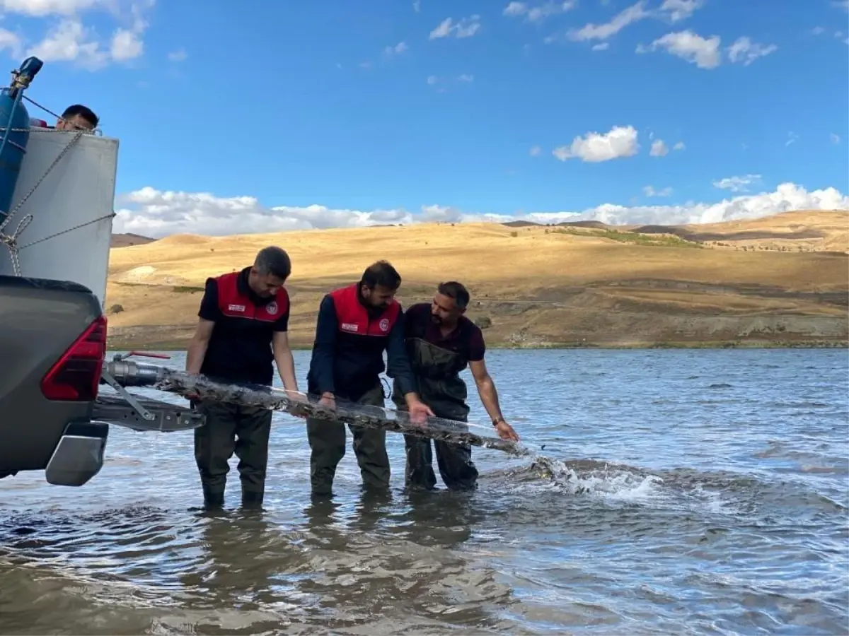 2025’te 83 Milyon Balık Bırakılacak