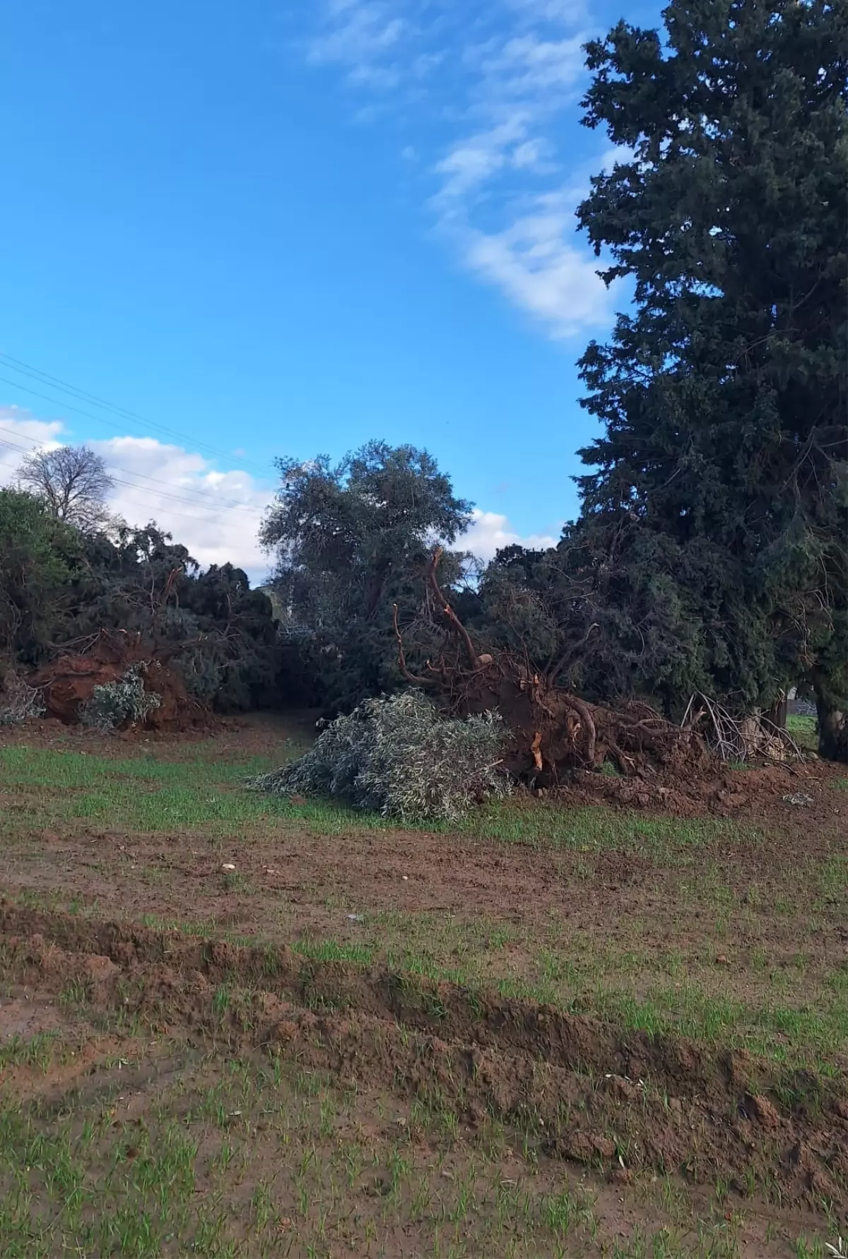 Manavgat’ta Hortum Felaketi: Zarar Büyüdü