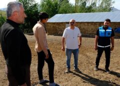 Önce tilkiye sonra koyunlara saldırdı! Van’da bir mahallede kuduz karantinası