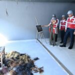 Acilarin hafizasi kultur merkezine donusuyor diyarbakir cezaevinde sona dogru eavdiDdm